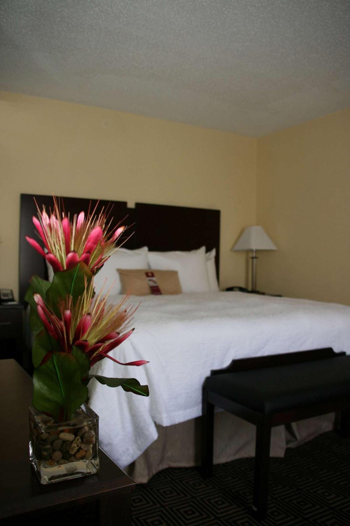 Hampton Inn & Suites Orlando-John Young Parkway/South Park Ngoại thất bức ảnh